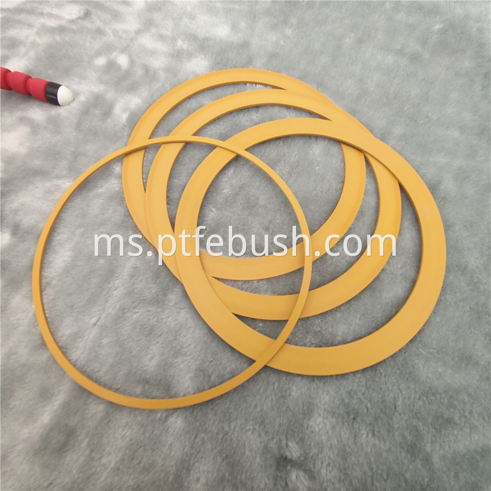 Pi Filled Ptfe Gasket 4